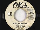Northern Soul 45 - Opals - Does It Matter - Okeh