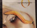 Thirteenth Step by A Perfect Circle (Record, 2003) Vinyl