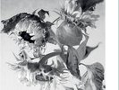 And Also the Trees Mother-of-pearl Moon (Vinyl) 12