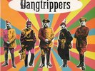 The Dangtrippers Days Between Stations NEAR MINT Dog Gone Vinyl LP