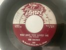 Rare Doo Wop 45/ The Orchids 