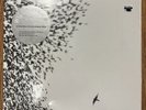NEW Wilco Sky Blue Sky - Vinyl 2LP 180g Nonesuch CD Original Pressing RARE