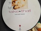 TAKE THAT Everything Changes 1993 Issue Vinyl Picture Disc LP, 74321 16926-1,