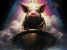 Various Artists - The Other Side Of Pink Floyd (Various Artists) [New Vinyl LP]