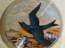 Vogue Picture Record Disc R753 At Sundown Mardi Gras New Orleans Bluebird