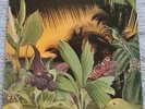 LONNIE LISTON SMITH — “ LOVELAND “ — LP —FULLY PLAY TESTED — CBS —JAZZ