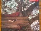 The Backseat Lovers Waiting to Spill Anniversary Edition Signed Red Vinyl LP New