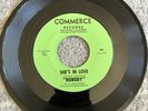 Nobody 1968 Painted Dreams 45 LA Psych Sunshine Pop 1968 NM Rare