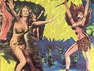 Various - Jungle Exotica / VG / LP, Comp