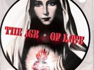 The Age of Love 12 