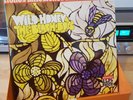 THE BEACH BOYS - MILESTONES WILD HONEY / FRIENDS 1st Rare DUTCH Press 2 x LP
