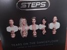 2 Vinyl LP Steps - Tears on the Dancefloor (2017) (Crying at the Disco Deluxe)