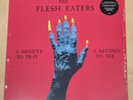 The Flesh Eaters - A Minute to Pray a Second to Die LP (Superior Viaduct, 2014)