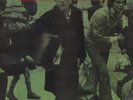 LP Dexys Midnight Runners Searching For The Young Soul Rebels NEAR MINT FAME