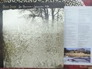 BON IVER For Emma Forever Ago 2008 1st UK Pressing 4AD w. INSERT Vinyl LP