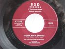 Pat The Cat & His Kittens,BSD 1009