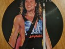 EX/EX Bon Jovi Slippery When Wet LP VINYL Picture Disc1986  Def Leppard Jon JBJ