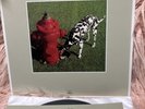 Rush 2015 Signals Vinyl LP Opened But Not Played Mint