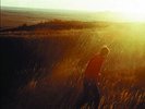 Stay What You Are - 10-Inch Vinyl by Saves the Day (Record, 2023)