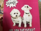 Slaves Are You Satisfied? LP Embossed Cover First Press Ex/Nm