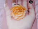 MADONNA  BEDTIME STORY 12'' VINYL MAXI SINGLE RECORD NEW SEALED 1995