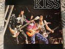 KISS Hot in the Shade Live 1990 LP Vinyl
