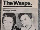 Punk Classic The Wasps Teenage Treats VG+ Condition