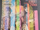 The Tangerine Zoo: Outside Looking In