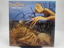 Dixie Dregs – Dregs Of The Earth (Arista, 1980) USA Import Steve Morse EX/VG+
