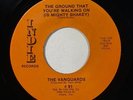 The Vanguards 
