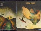 RARE BIRD, Rare Bird USA MONARCH 1st pressing LP Sympathy