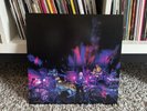 The Black Angels - Levitation Sessions - Vinyl Splatte - RSD 2023 - Black Friday