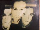 The Wild Swans ‎– Bringing Home The Ashes - Original 1988 Near Mint LP