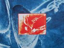 Dire Straits - On Every Street - Used Vinyl Record - G7751z