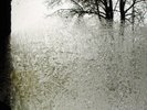 For Emma Forever Ago - Bon Iver - Record Album, Vinyl LP