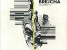 BREJCHA, Boris - Classics 1.4 - limited 180 gram transparent lime vinyl 12