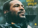 Marvin Gaye - What's Going on [New 12