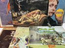 6 Martin Mull Original Vinyl LPs 1970’s Comedy Capricron Records – Good