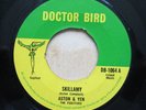 ALSTON  & YEN Skillamy / BABA BROOKS Party Time UK 7