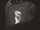 PRESALE ITEM Taylor Swift Tortured Poets Department Vinyl +Bonus 