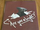 Lovejoy Are You Alright / Pebble Brain, White Vinyl LP ***VERY RARE****