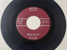 Ly-Dells DOOWOP 45 Genie Of The Lamp / Teenage Tears MASTER Orig VG++/VG+++ HEAR