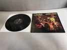 MISFITS black Labels edition Vinyl LP Earth A.D. Wolfs Blood (1984 Agressive)