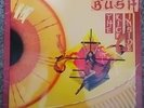 Kate Bush The Kick Inside Picture Disc First Press Runoout  YAX 5389 -4 / 5390-4