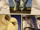 Pink Floyd : The Division Bell VINYL 20th Anniversary  12