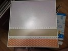 RARE PINK Streetlight Manifesto Somewhere In The Between LP  Vinyl Record Ska