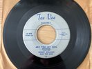 MORRY WILLIAMS & KIDS 45 Are you my girlfriend? / Louise TEE VEE Doowop F1096