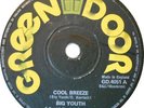Big Youth / The Crystalites - Cool Breeze / Wild Storm (7