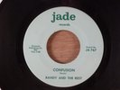 Randy And The Rest  Confusion/Dreaming  RARE  Garage, Psych 1967 Jade Records