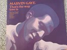 Marvin Gaye   